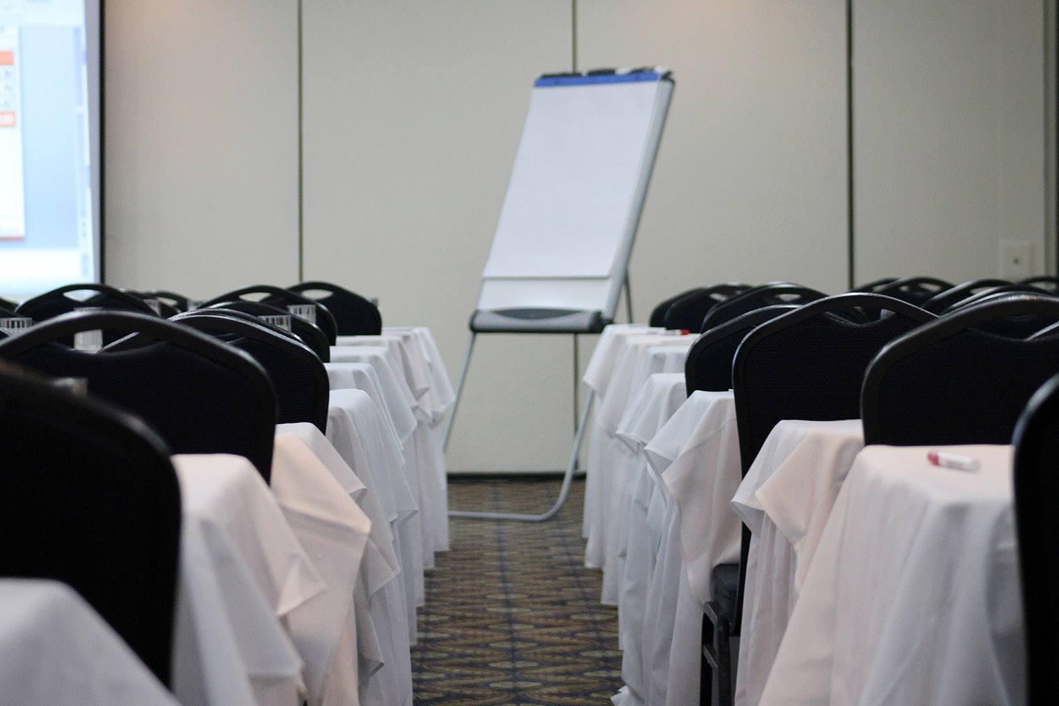 W&P Santo Domingo Hotel Business billede